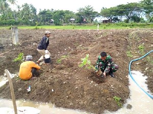 Babinsa Koramil 02/Suka Makmur Ajak Masyarakat Optimalkan Lahan Tidur